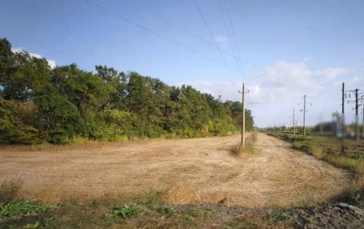 In Kyiv region, police "exposed" a farmer who illegally cultivated almost half a hectare of land