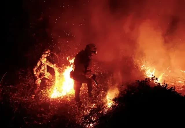 ЄС має підготуватися до "катастрофічних" наслідків зміну клімату - Європейська агенція довкілля 