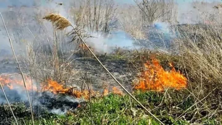 На Черниговщине россияне используют беспилотники с зажигательной смесью - ГПСУ