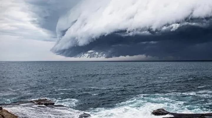 Максимально ограничить перемещение и поездки: в Одессе объявили штормовое предупреждение