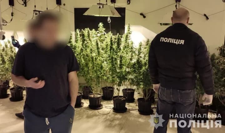 Поліцейські на Львівщині викрили схему збуту наркотиків у виправній колонії та вилучили канабісу на 10 млн грн