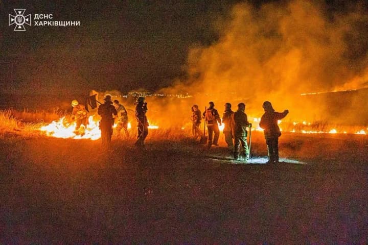 Масштабна пожежа на Харківщині: через підпал сухої трави під загрозою опинилось ціле село