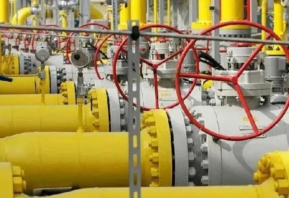 Bloomberg: EU to cut Russian LNG imports this year