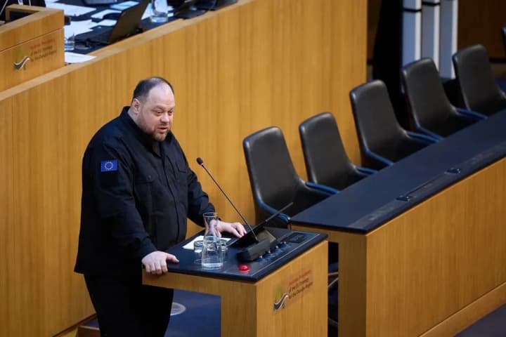 "Elections without a choice": Stefanchuk calls on Danube Initiative countries not to recognize the results of the vote in Russia