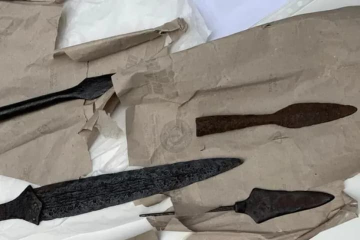 Нидерланды вернули Украине археологические артефакты, которые незаконно вывезли из страны