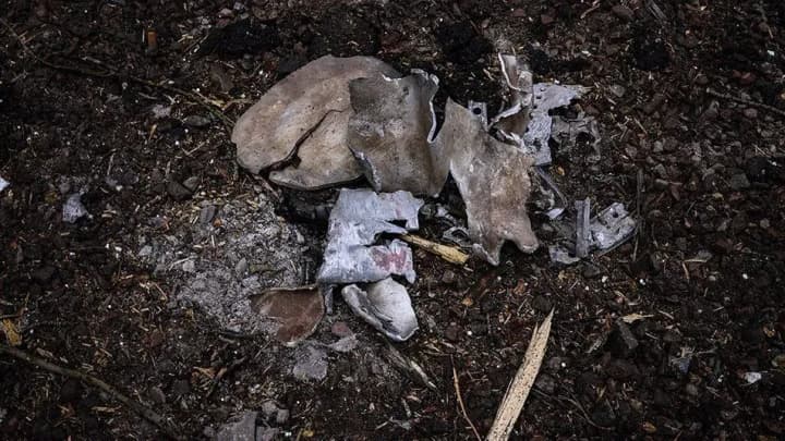 Погибшей во время обстрела Николаева оказалась мама спортсменки Светланы Мальковой