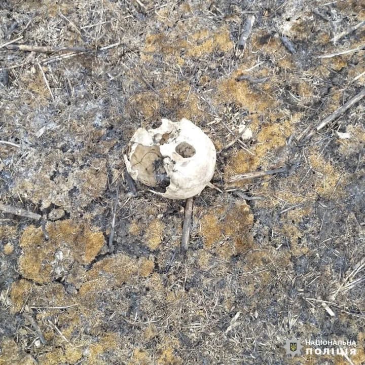 На Харківщині знайшли автівку з родиною, яка загинула ще під час окупації регіону: поліція встановлює особи загиблих