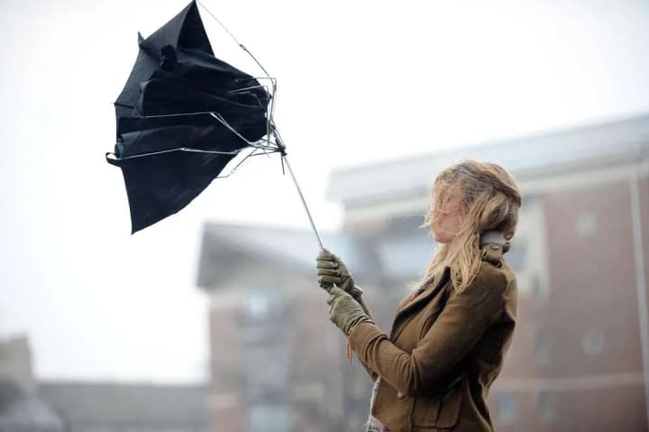 Weather conditions are expected to deteriorate in Kyiv: wind gusts will reach up to 20 m/s