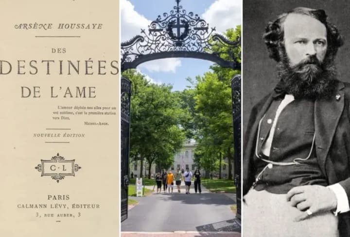 Harvard to remove human skin binding from 1800s book