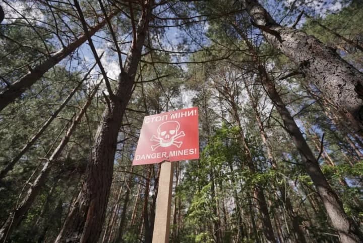 ООН: Перед Україною стоїть масштабний виклик з розмінування, який можна порівняти з усією Європою після Другої світової війни