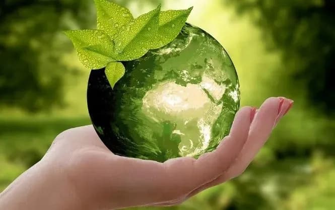 Ten months in a row of record high temperatures worldwide - EU researchers