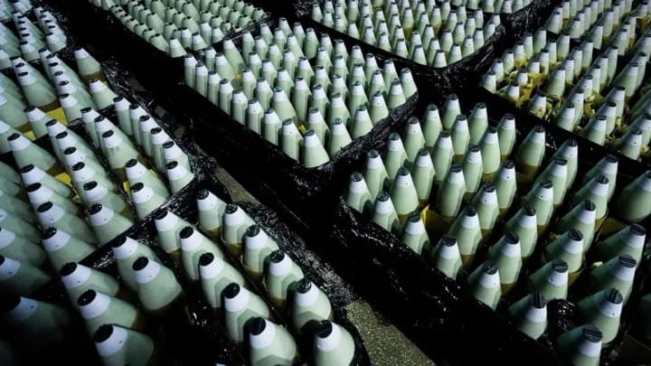 Жители Словакии собрали почти 2 млн евро на боеприпасы для Украины - СМИ