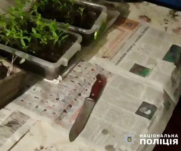 Выясняли отношения: 23-летний учитель напал с ножом на двух бывших учеников, один из них - погиб