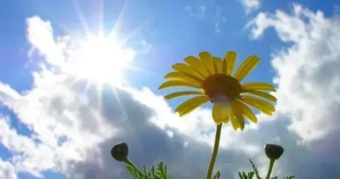 Погода на 1 травня: тепло та без опадів, місцями мінлива хмарність