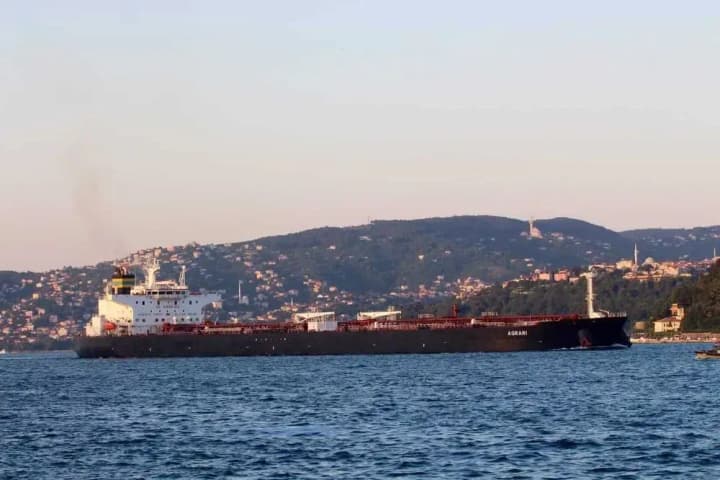 FT: Red Sea trade disruption could last until next year