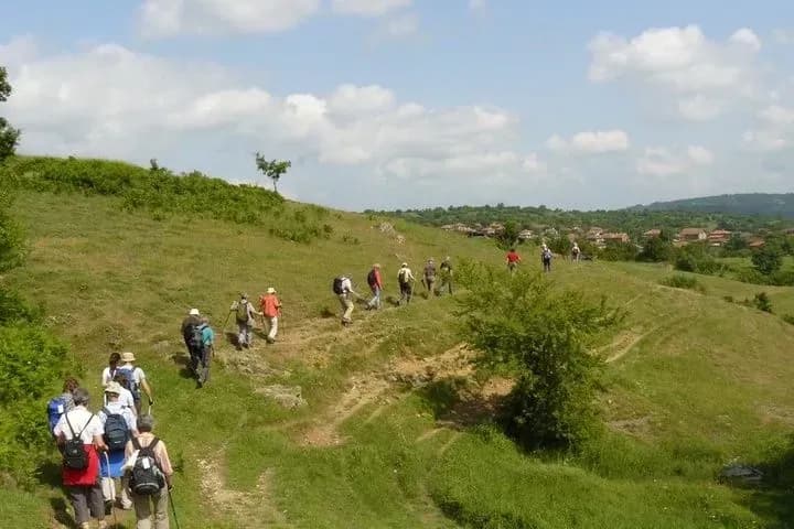 Зеленый туризм в Украине растет, но нуждается в маркетинговом толчке