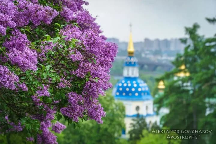 Hryshko Botanical Garden in Kyiv is damaged by unscrupulous visitors