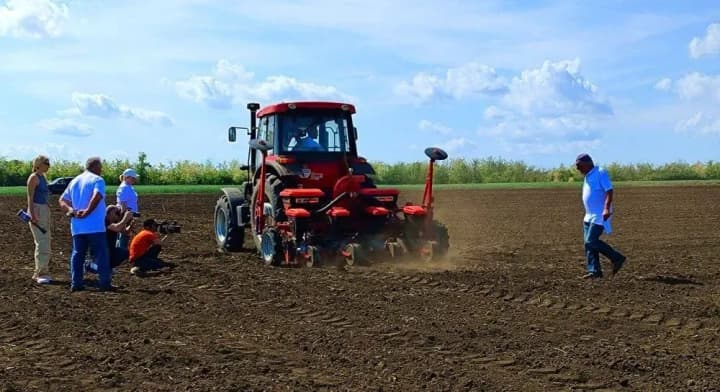 First cotton sprouts to sprout in Odesa region in two weeks: photos