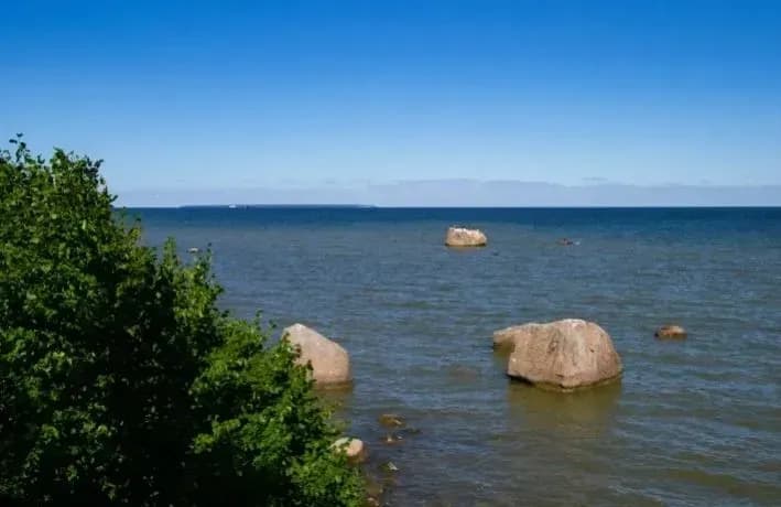 Estonia to sell uninhabited island in the Baltic Sea at auction