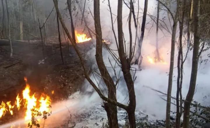 Enemy shelled 9 border districts in Sumy region with artillery and mortars