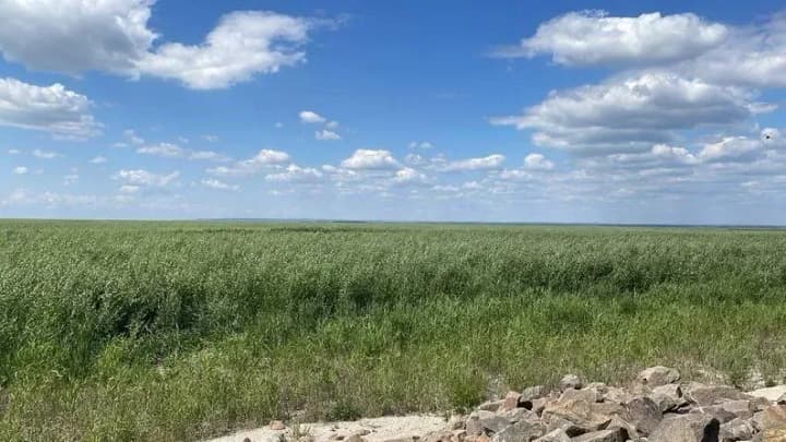 Эколог рассказал, как меняется дно бывшего Каховского водохранилища