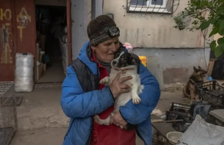 Vereshchuk: Evacuees from dangerous regions of Kharkiv oblast are entitled to IDP payments