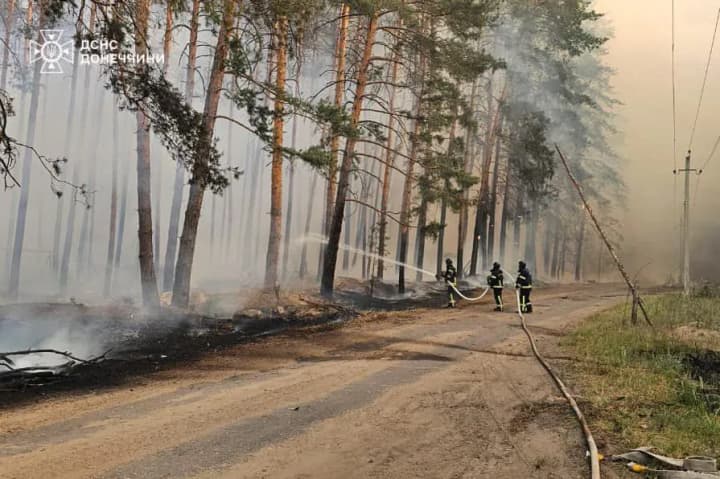 Ліси Лиманщини щоденно знищуються через обстріли зі сторони ворога
