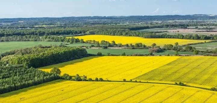 Понад 250 тисяч гектарів: в Держгеокадастрі розповіли, скільки землі отримали учасники АТО та члени родин загиблих