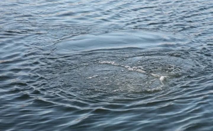 A 15-year-old boy drowned in the Uzh river in Zakarpattia