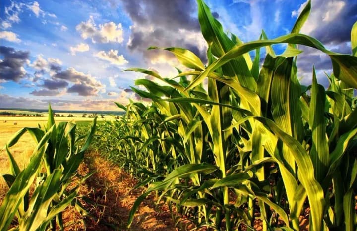 This year will be indicative from the point of view of sustainability and functioning of the agricultural business – UKAB