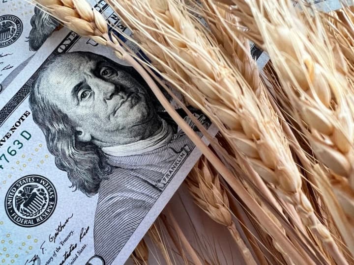 Надходження валютної виручки через одеські порти збільшилися до 55 млрд доларів