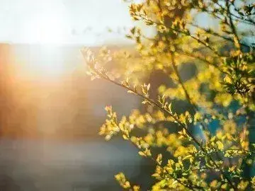 Forecasters gave a forecast for the last day of spring