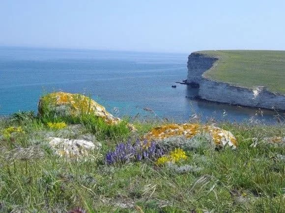 В Крыму более 950 земельных участков планируют отобрать на нужды армии рф