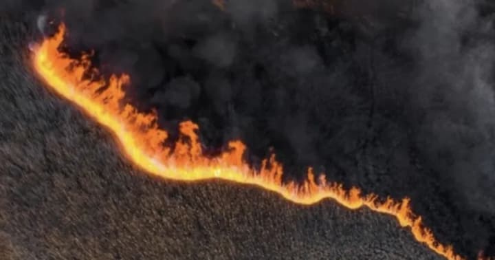 Losses to the environment of the Odessa region as a result of Russian aggression amounted to almost UAH 30 billion