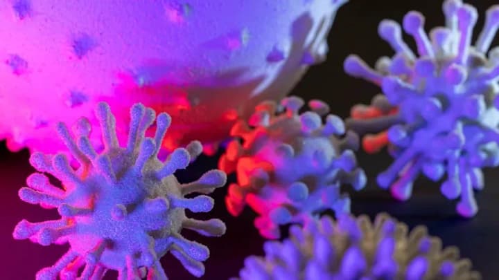 Новый вариант Covid KP.2 угрожает вытеснить доминирующий штамм