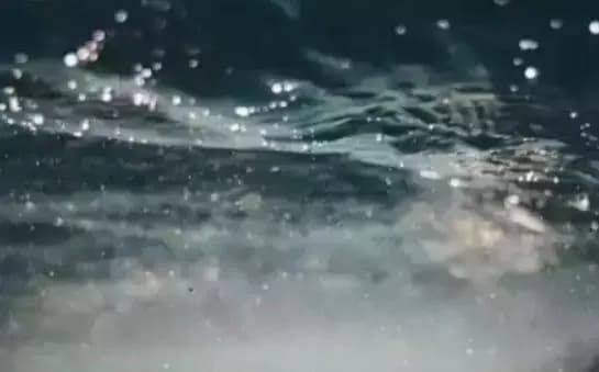 У Тернопільському ставі виявлено тіло 18-річного хлопця, його розшукувала поліція протягом доби