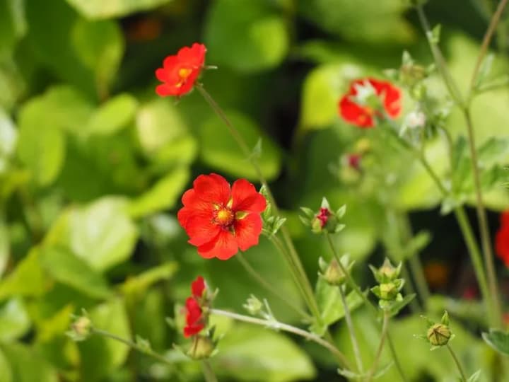 In Ukraine mostly dry weather and up to 30°C - forecasters