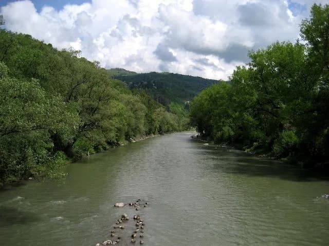 Демченко: не виключено, що всі тіла вдалося виявити у Тисі