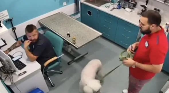 He saw prosthetics and scolded: in Odesa, a man reacted inadequately to a veteran working in a veterinary clinic