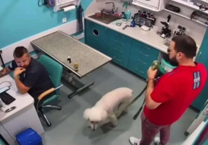 Шевеленко, який вилаяв лікаря-ветерана в Одесі, більше не працює позаштатним радником Стефанішиної