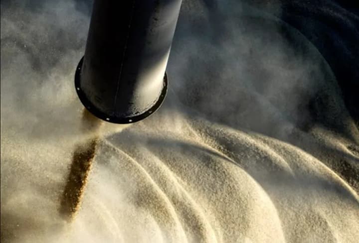 The main trading partner of Ukraine is the Mediterranean countries - Minagro