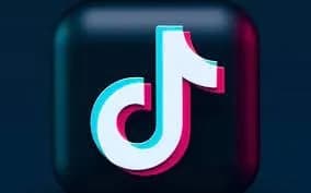 TikTok дискримінував жінок та просував ксенофобські стереотипи перед євровиборами – звіт