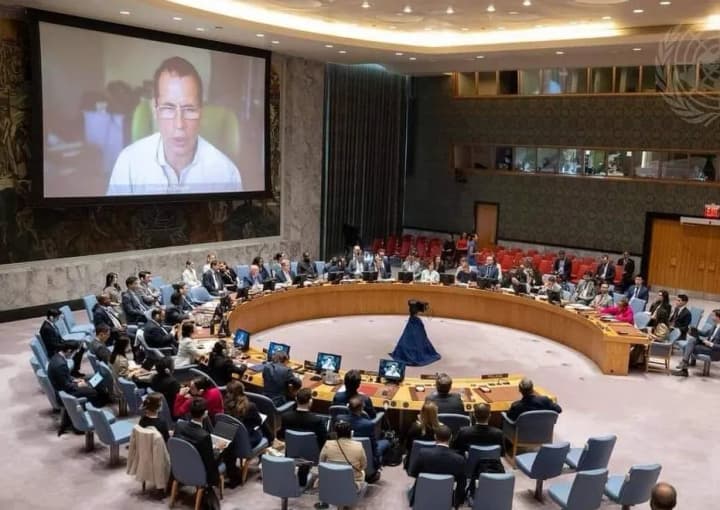 UN Security Council members hear testimony of Okhmatdyt director and express consolidated support for Ukraine