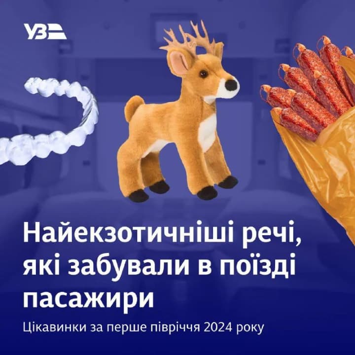 A deer, a bucket of strawberries and a violin bow: Ukrzaliznytsia told about the most interesting things that passengers forgot