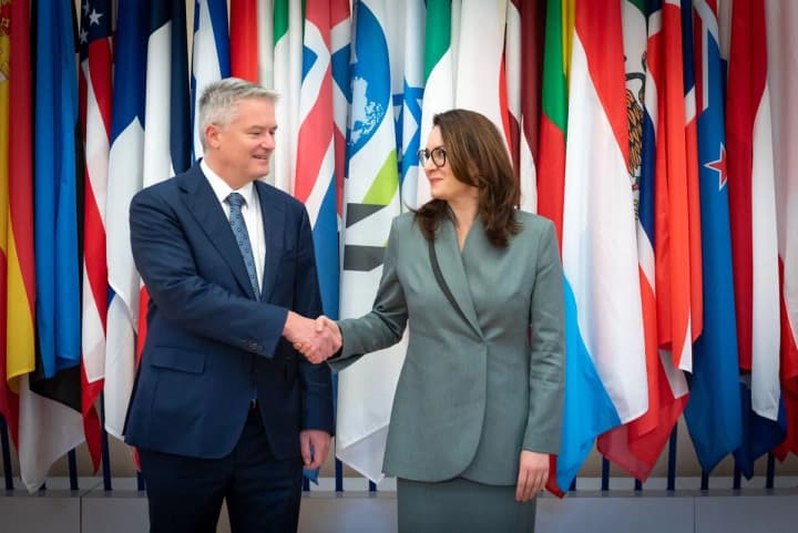 OECD will cover almost 285 thousand euros of Ukraine's membership fees and charges for 2024 - Svyrydenko