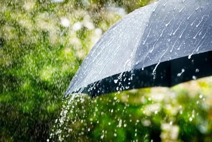 Short-term rain with thunderstorm, sometimes with hail and wind gusts up to 20 m/s are observed in Kyiv region