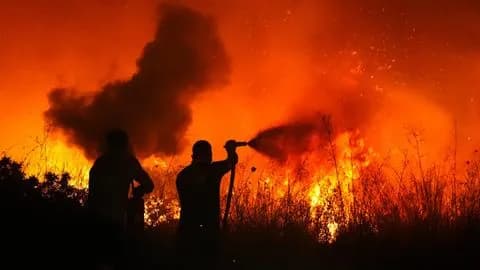 Лісова пожежа у турецькому Ізмірі дійшла до населених пунктів