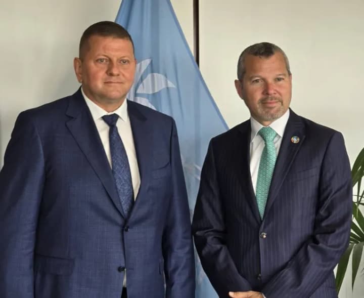 Zaluzhnyi discusses security of grain corridors with the head of the International Maritime Organization
