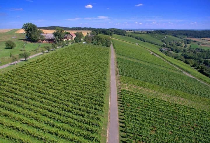 Внутрішні судові суперечки в НААН: чи ефективно Академія управляє підпорядкованими структурами і земельним банком