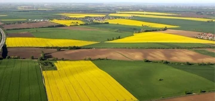 Скрытая аренда земли НААН: новые факты нецелесообразного управления государственными землями